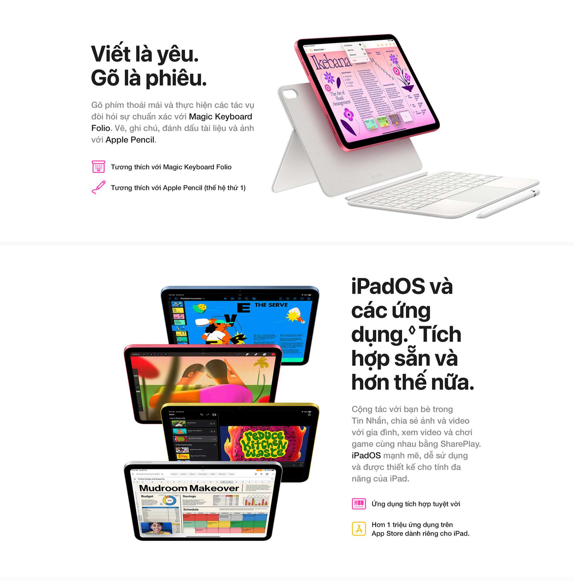 iPad